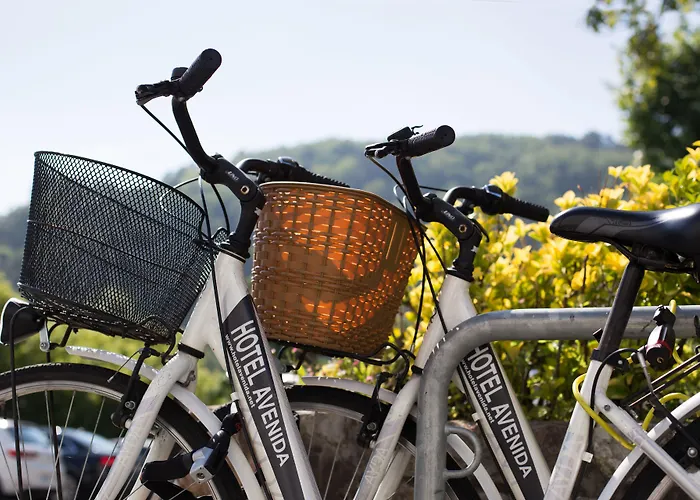 阿维尼达酒店 酒店